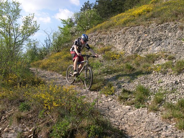 Le GR au dessus de la falaise